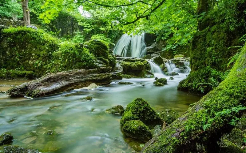 可靠性精密
